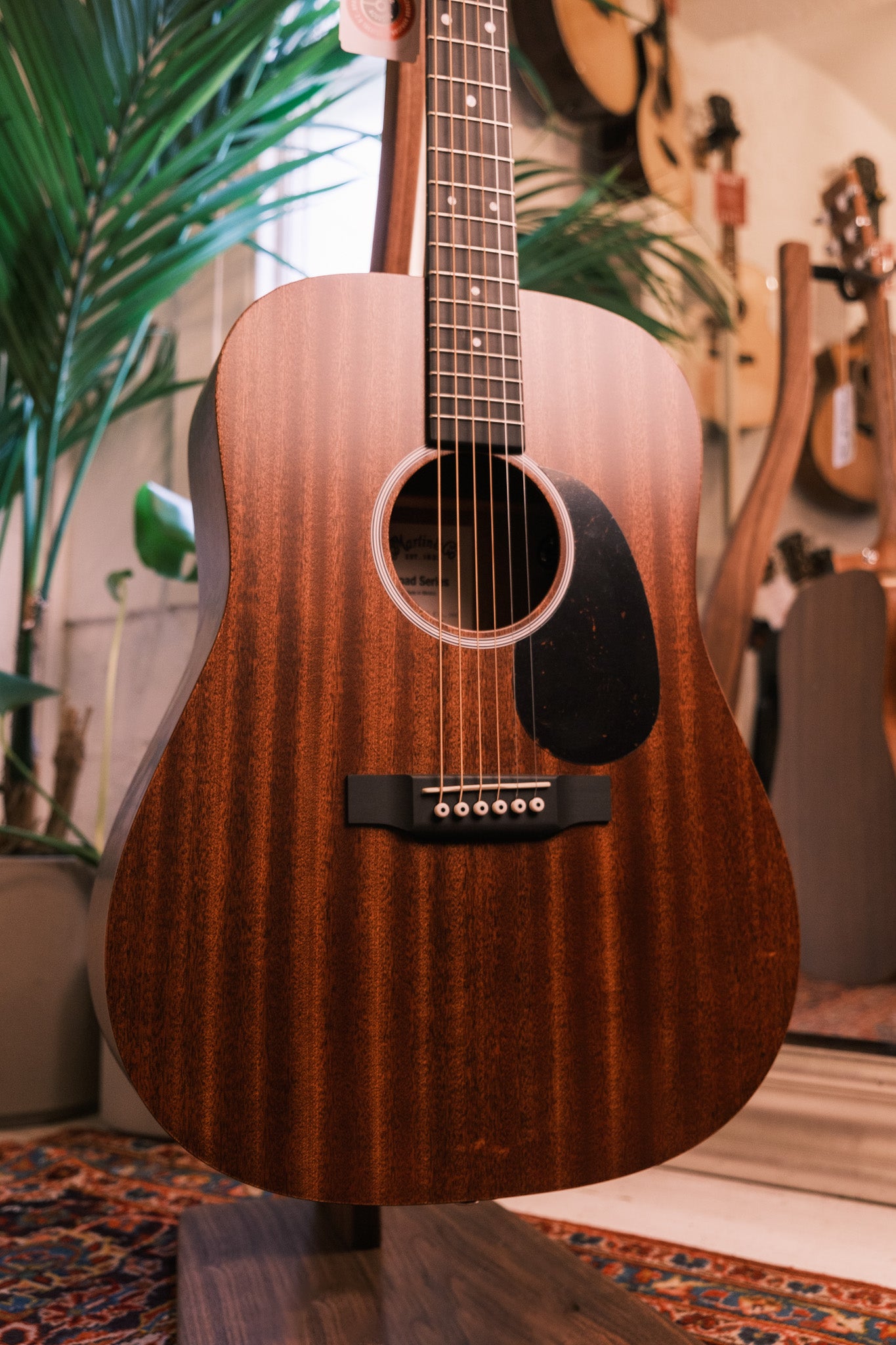 Martin d 2024 10 e