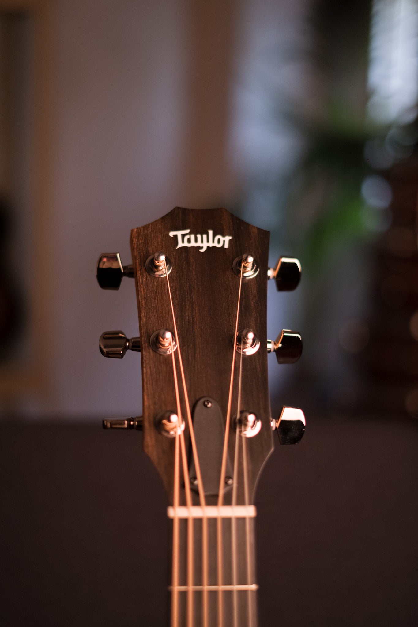 Taylor 212ce Plus Grand Concert