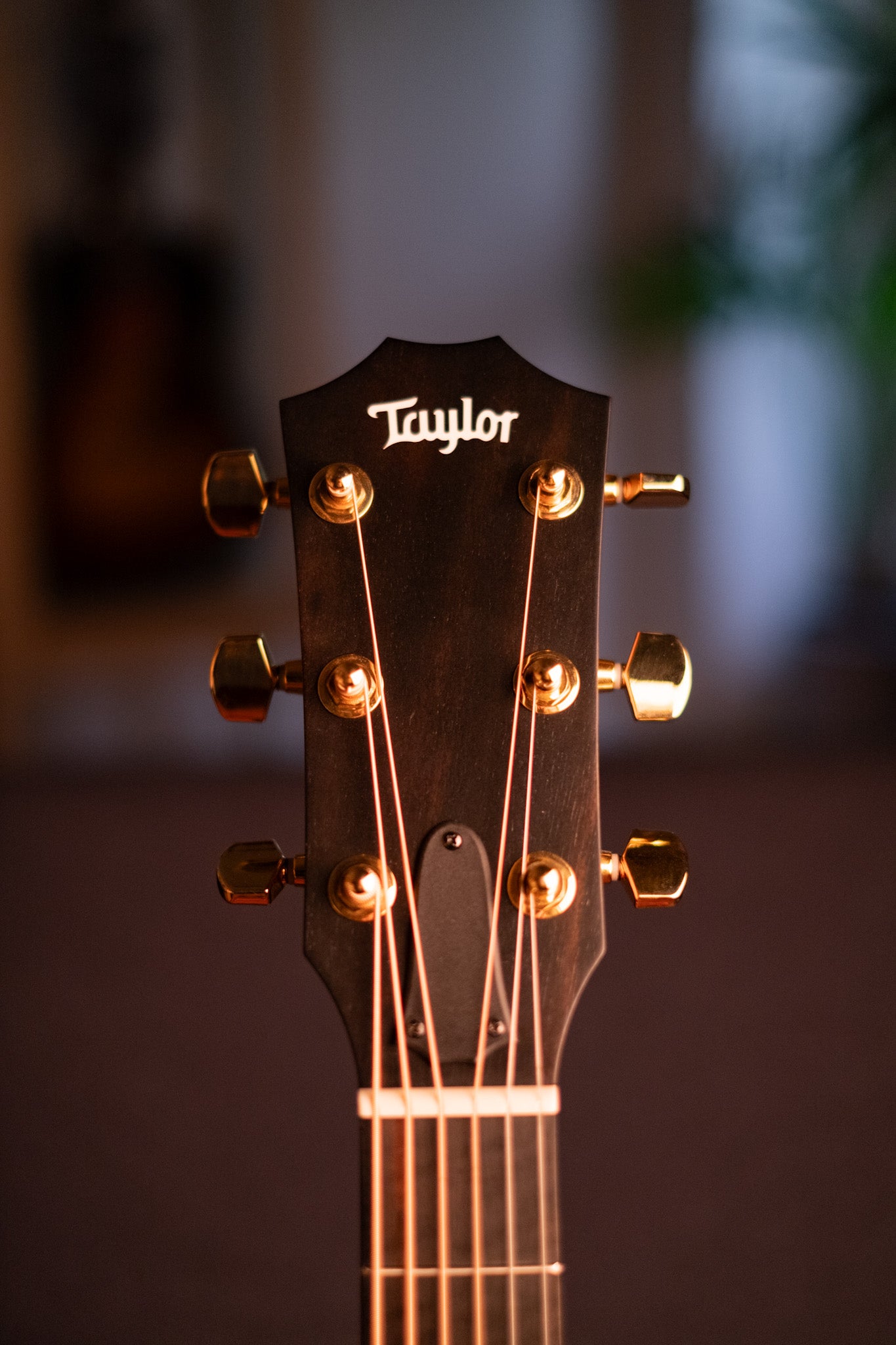 Taylor 222ce-K DLX Hawaiian Koa Grand Concert