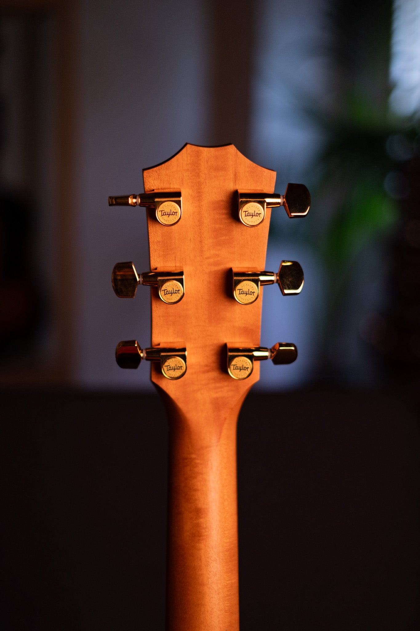 Taylor 222ce-K DLX Hawaiian Koa Grand Concert