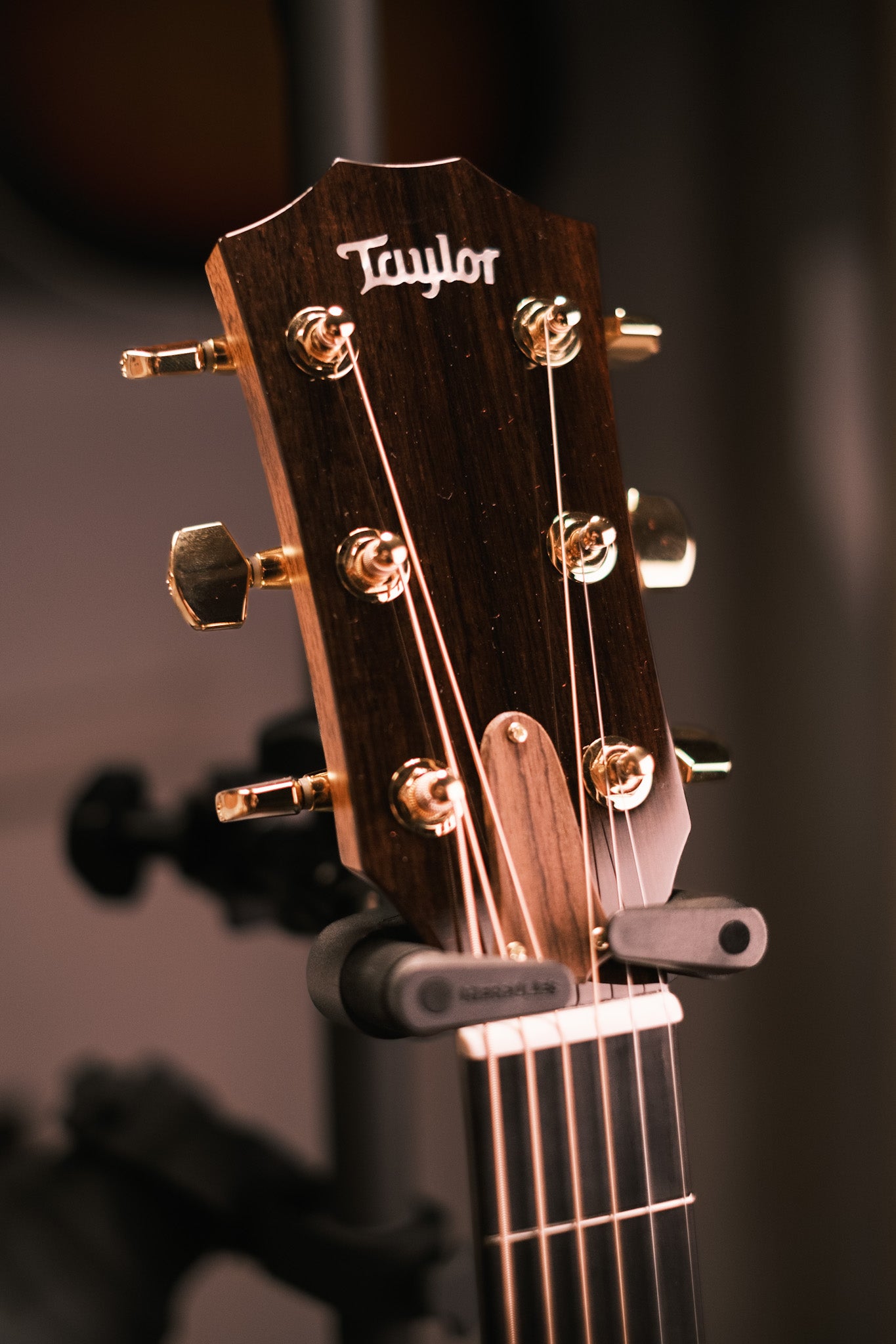 Taylor Legacy 514ce Grand Auditorium